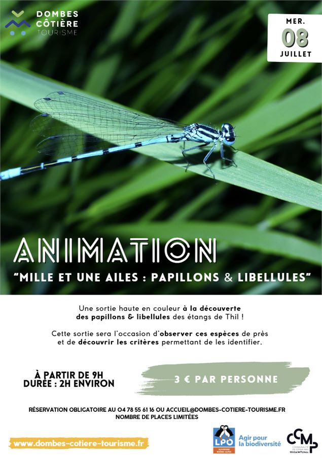 Mille et une ailes: papillons et libellules - DCT et LPO
