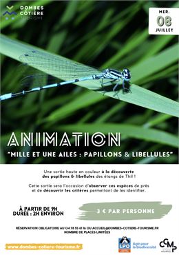 Mille et une ailes: papillons et libellules - DCT et LPO