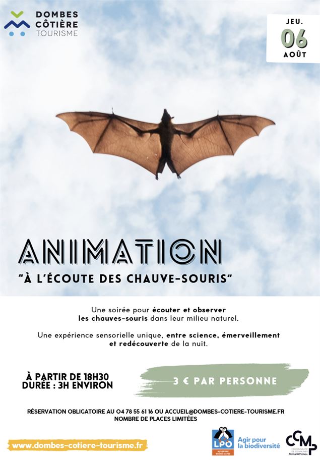 Capture d'écran 2026-03-22 172544.png
