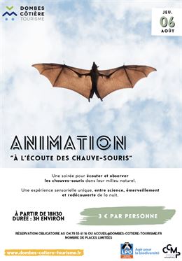 Capture d'écran 2026-03-22 172544.png