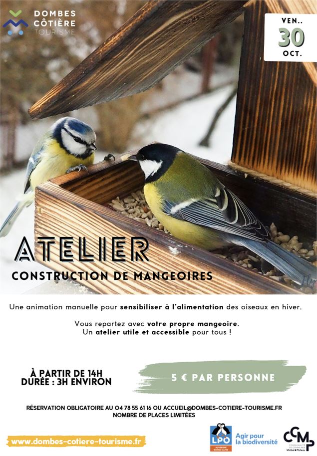 Capture d'écran 2026-03-22 173406.png