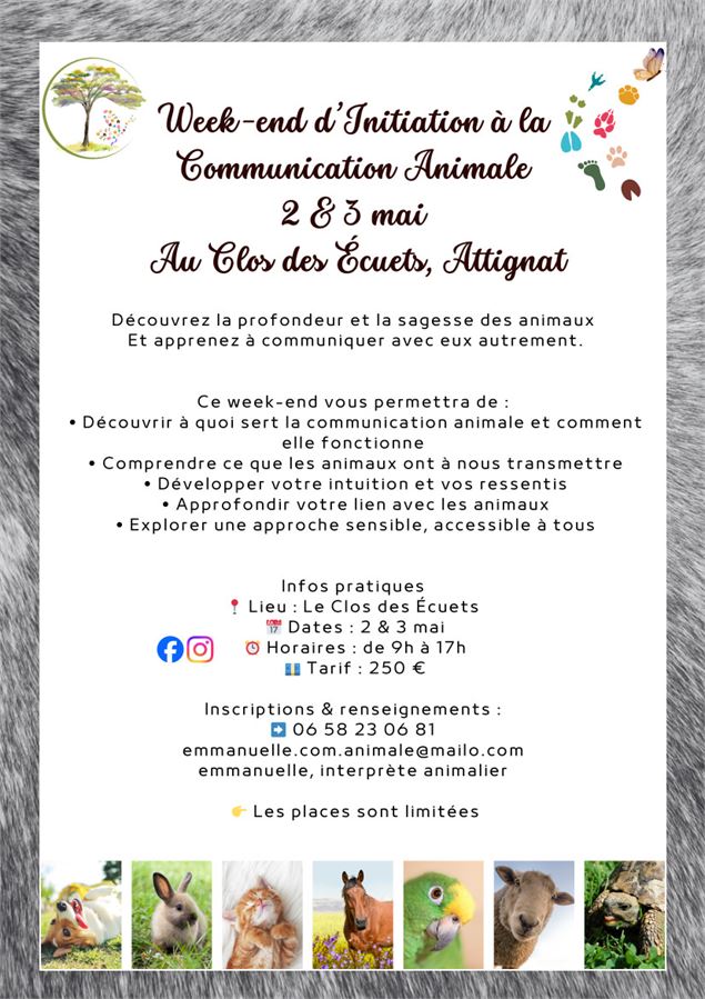 Affiche WE initiation à communication animale - LCDE