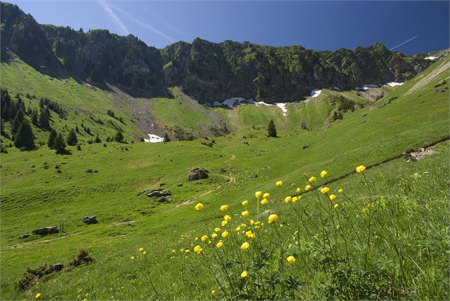 Pensez à vous inscrire à l'Office de Tourisme de la Vallée d'Aulps - bureau de Montriond - pour une 