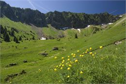 Pensez à vous inscrire à l'Office de Tourisme de la Vallée d'Aulps - bureau de Montriond - pour une 