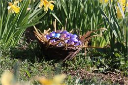 Chasse aux œufs - OT Manigod / M.Sauvage