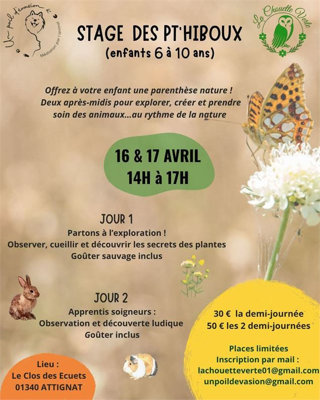 Stage nature enfants - LCDE
