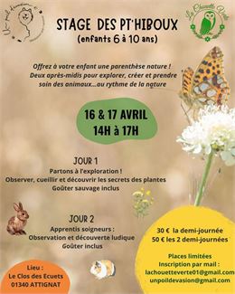Stage nature enfants - LCDE