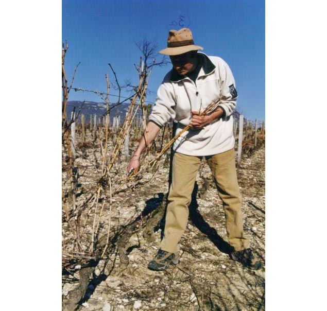 Apéro'Vignes au Domaine La cave de mon père - Musée du Vigneron_Porte-de-Savoie