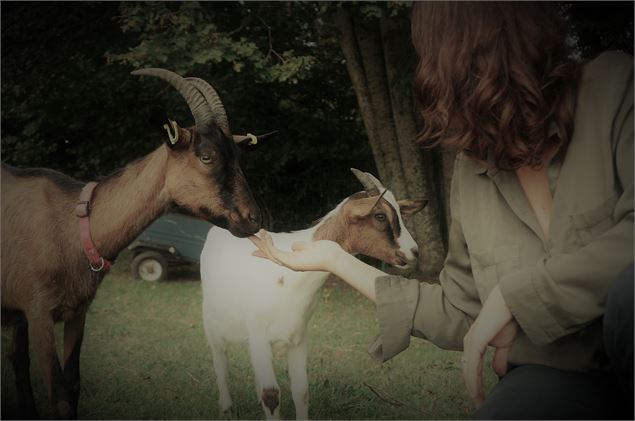 le monde de Kaly - Kaly Flore