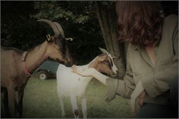 le monde de Kaly - Kaly Flore