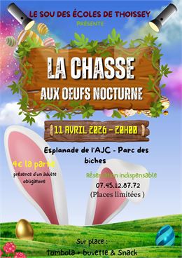Chasse aux œufs nocturne_Thoissey
