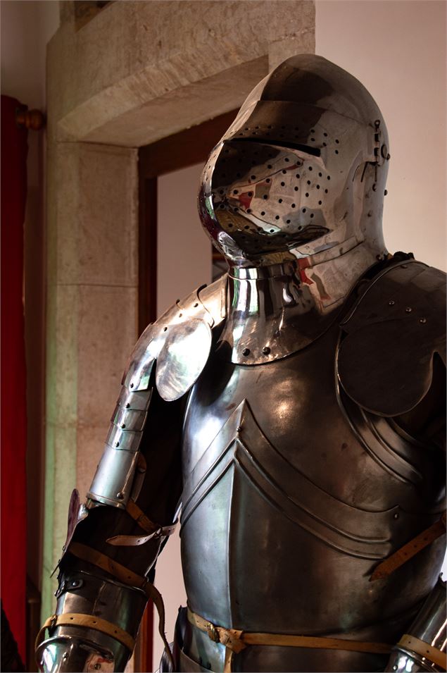 Visite guidée du Château de Treffort - Kélian Piroux