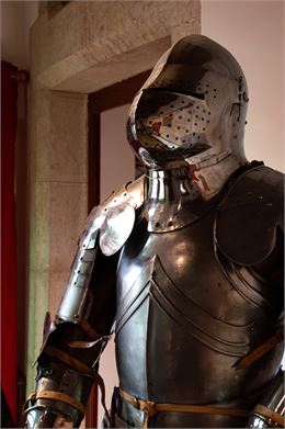 Visite guidée du Château de Treffort - Kélian Piroux