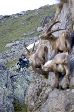 Anne Lapied tournage Bouquetins - Lapied Film