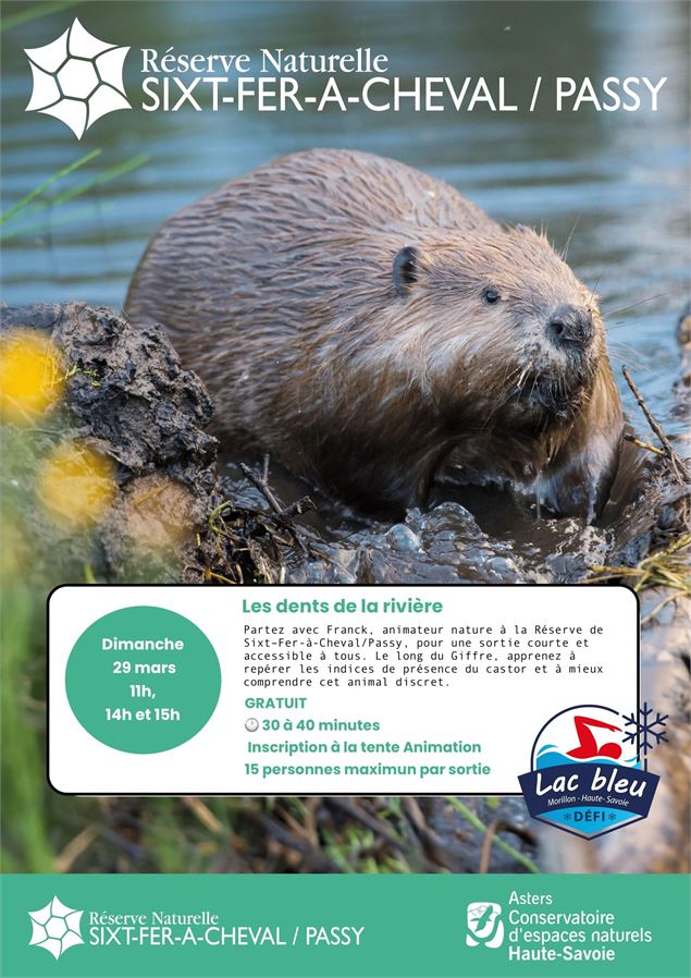 Affiche pour le défi du lac bleu - Défi du Lac Bleu