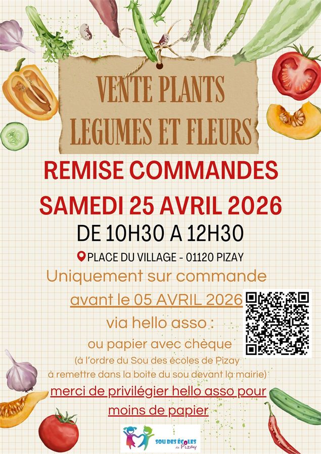 Vente de plants légumes et fleurs_Pizay