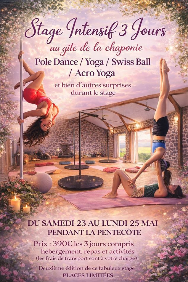 stage pole dance, yoga, Swiss Ball et acro Yoga - Pole Zen Studio