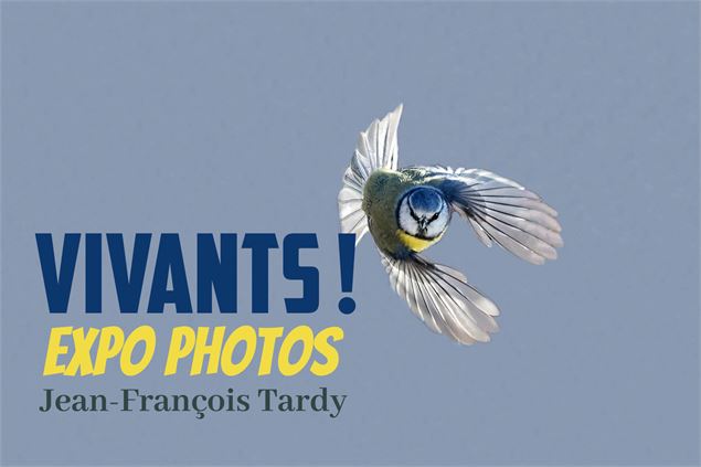 Vivants ! Une exposition de photos animalières_Manigod - Bibliothèque M'Lire