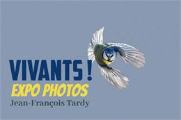 Vivants ! Une exposition de photos animalières_Manigod - Bibliothèque M'Lire