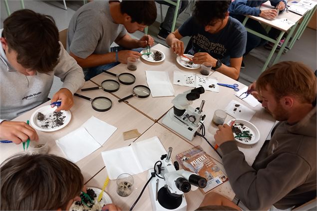 Fête de la nature : atelier 