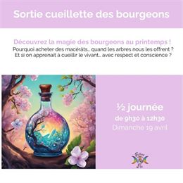 Sortie cueillette_Attignat