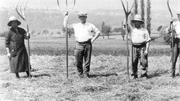 Fenaison chez Dunoyer - Musée de Rumilly