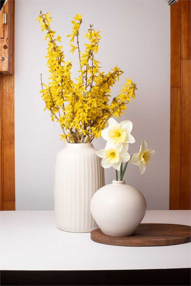 Portes ouvertes atelier Jeda Céramique - JEMA 2026_Saint-André-de-Bâgé - Jeda céramique