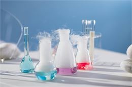Ateliers scientifiques autour de la cuisine SORTIR EN DOMBES_Châtillon-sur-Chalaronne - Ron Lach
