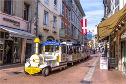 Chambéry en petit train touristique - ART PRISM