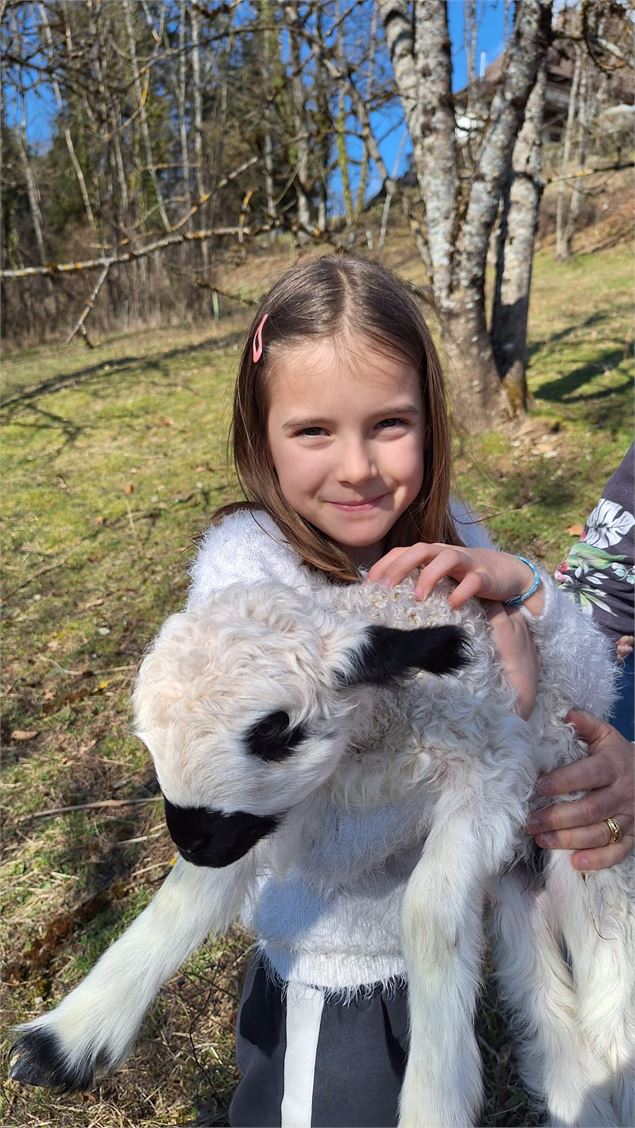 Immersion nature au cœur du troupeau_Mieussy - Laurence Girard