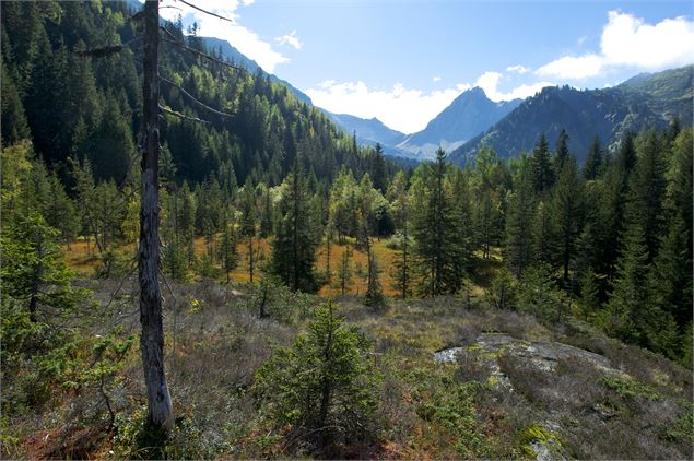 Tourbières de Sololieu - Geoffrey Garcel / ASTERS - CEN74