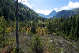 Tourbières de Sololieu - Geoffrey Garcel / ASTERS - CEN74