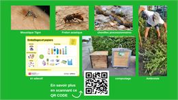 3ème Forum de l'Environnement_Saint-Alban-Leysse - Forum de l'environnement