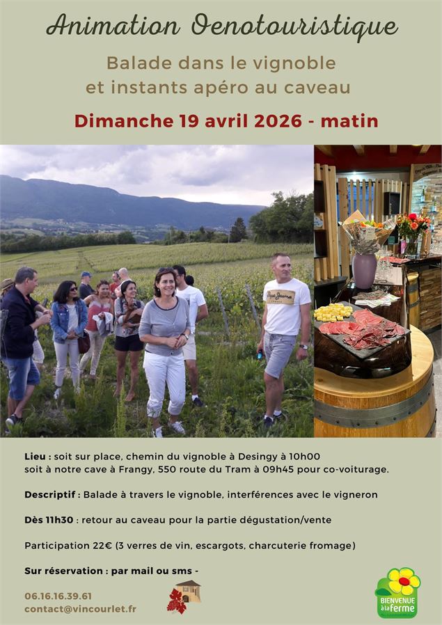 Animation oenotouristique - Vincent Courlet