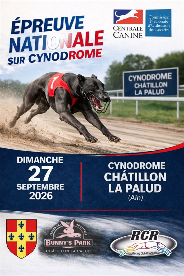 Affiche - IPNS