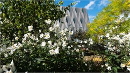 Visite au Jardin: Le retour du printemps - © MEG
