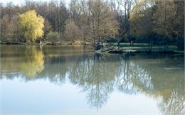 Visite commentée : Lac Neyton, Histoire d'une source_Dagneux - M Art Photographie