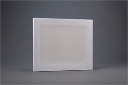 Vernissage et rencontre avec Ni Liang - Impermanent Instant © Li Jun