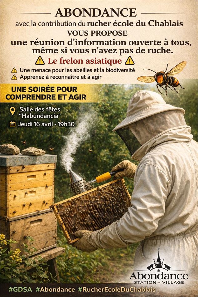 Affiche frelon asiatique Abondance - Mairie d'Abondance
