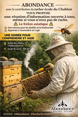 Affiche frelon asiatique Abondance - Mairie d'Abondance