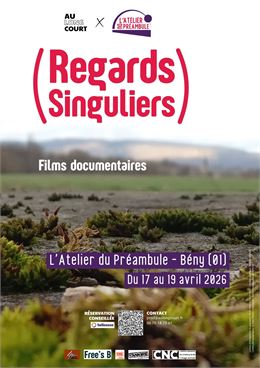Regards Singuliers - N.Rebillon