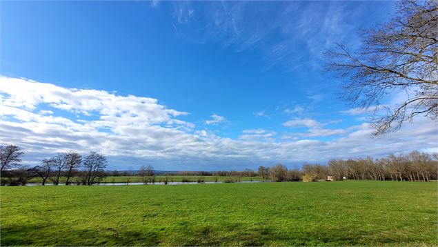 Prairies du Val de Saône - Marc CHATELAIN