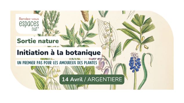 Sortie nature - Initiation à la botanique_Argentière