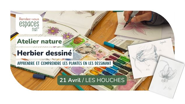 Atelier nature - Herbier dessiné_Les Houches