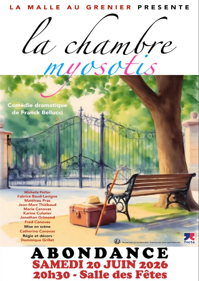 Affiche théâtre la chambre myosotis - La malle au grenier