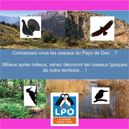 Conférence et sortie : Les oiseaux du pays de Gex - LPO du Pays de Gex