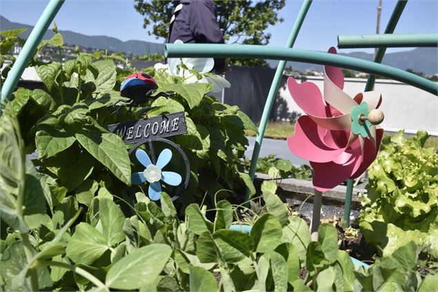 Les 48h de l’agriculture urbaine - 2eme édition_Chambéry - POPEX