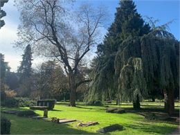 Arbres remarquables et sépultures célèbres - TCS
