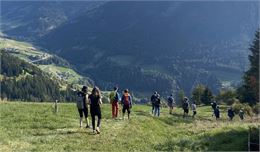 Fête de la Nature | Découverte des narcisses et jonquilles du Val d'Illiez_Troistorrents