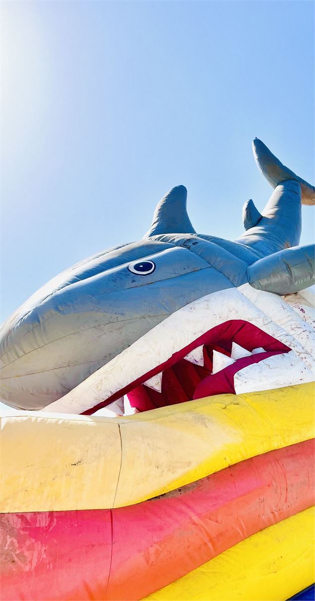 Patrimoine des histoires qui n’existent qu’à moitié - Magali Dougados